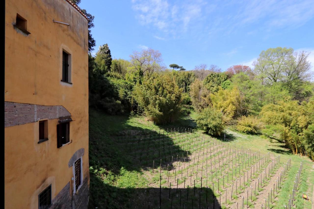 Il Mulino Di Trastevere - My Extra Home 罗马 外观 照片